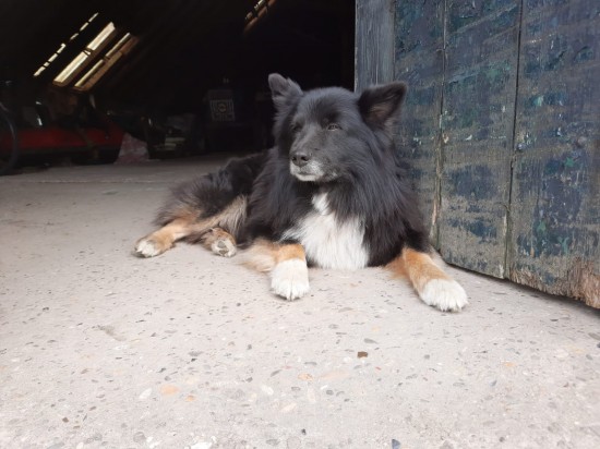 Bfb716b1 90aa 4548 8213 3fe6acf7ae76